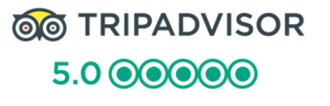 tripadvisor-excellent