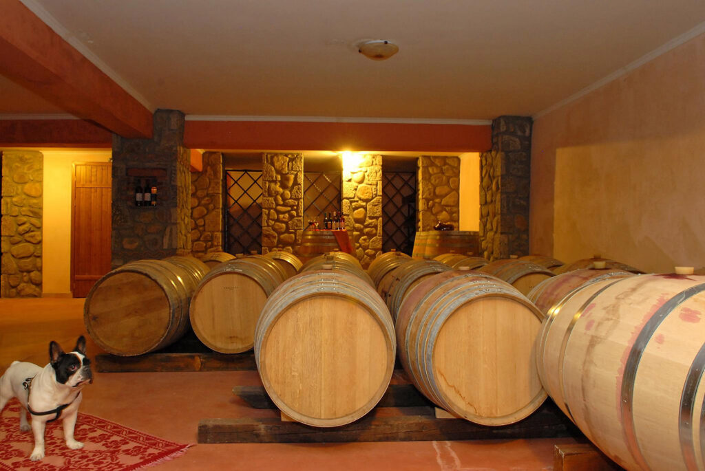 food-wine-tour