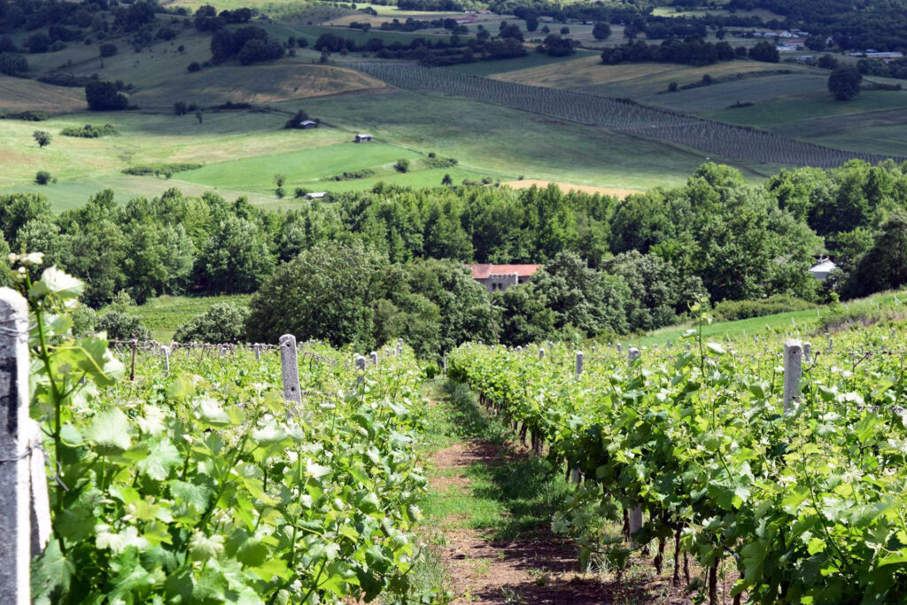 food-wine-tour