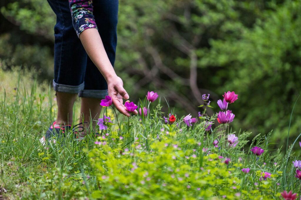 hiking-tours-flowers
