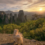 Visiting Meteora with a pet