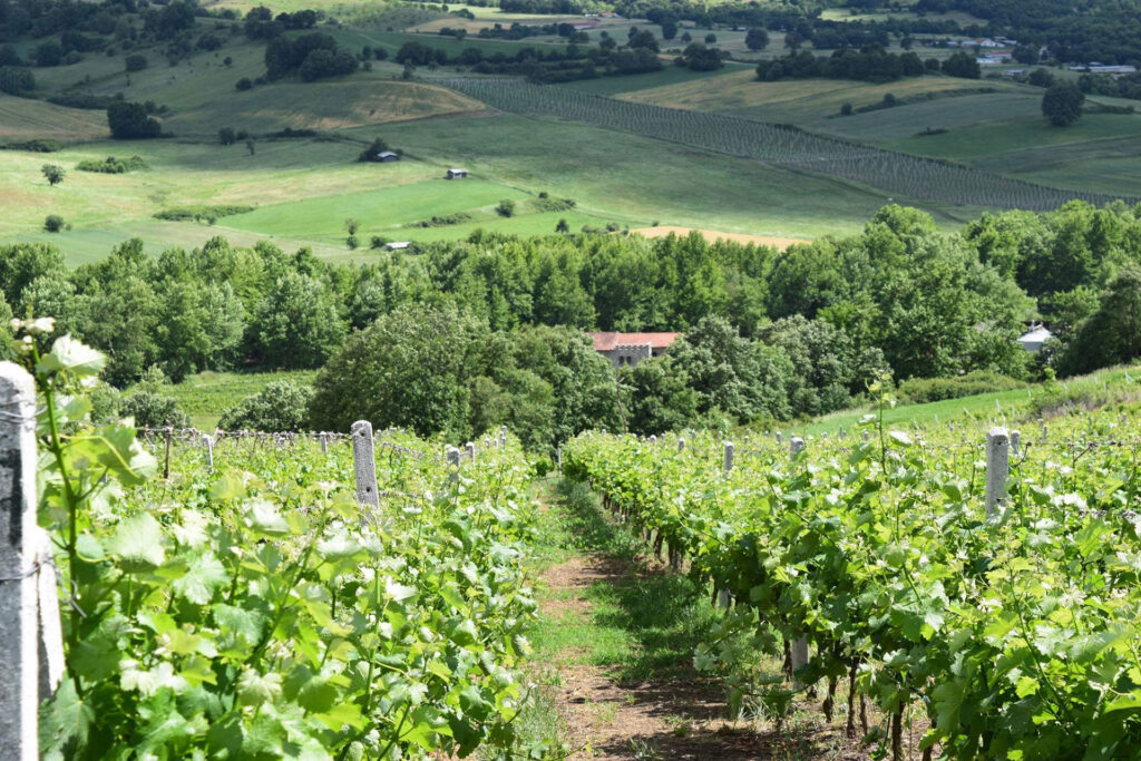 food-wine-tour
