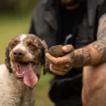 Meteora Shared Truffle Hunting