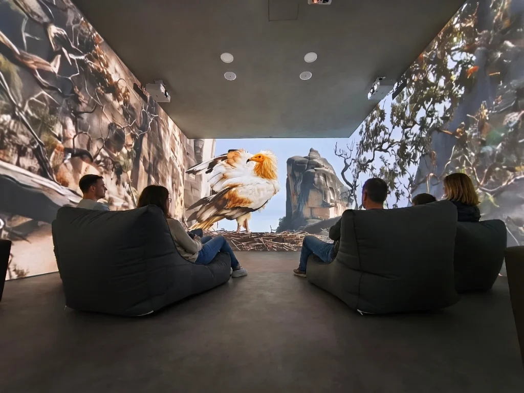 360° immersive projection experience