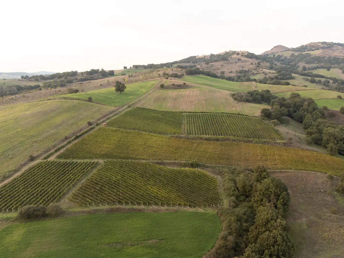 Leventis_Photography-29