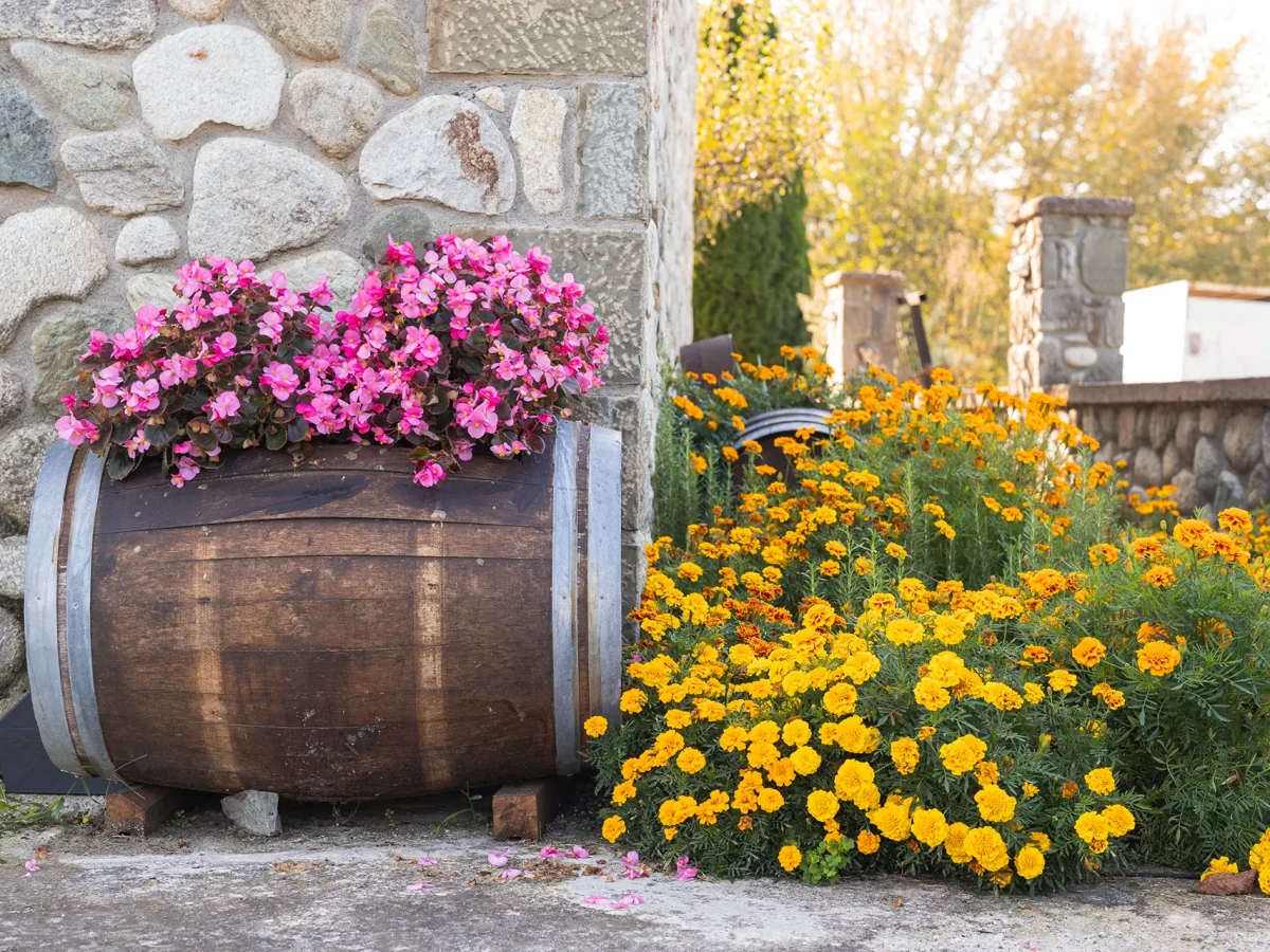 Leventis_Photography-31