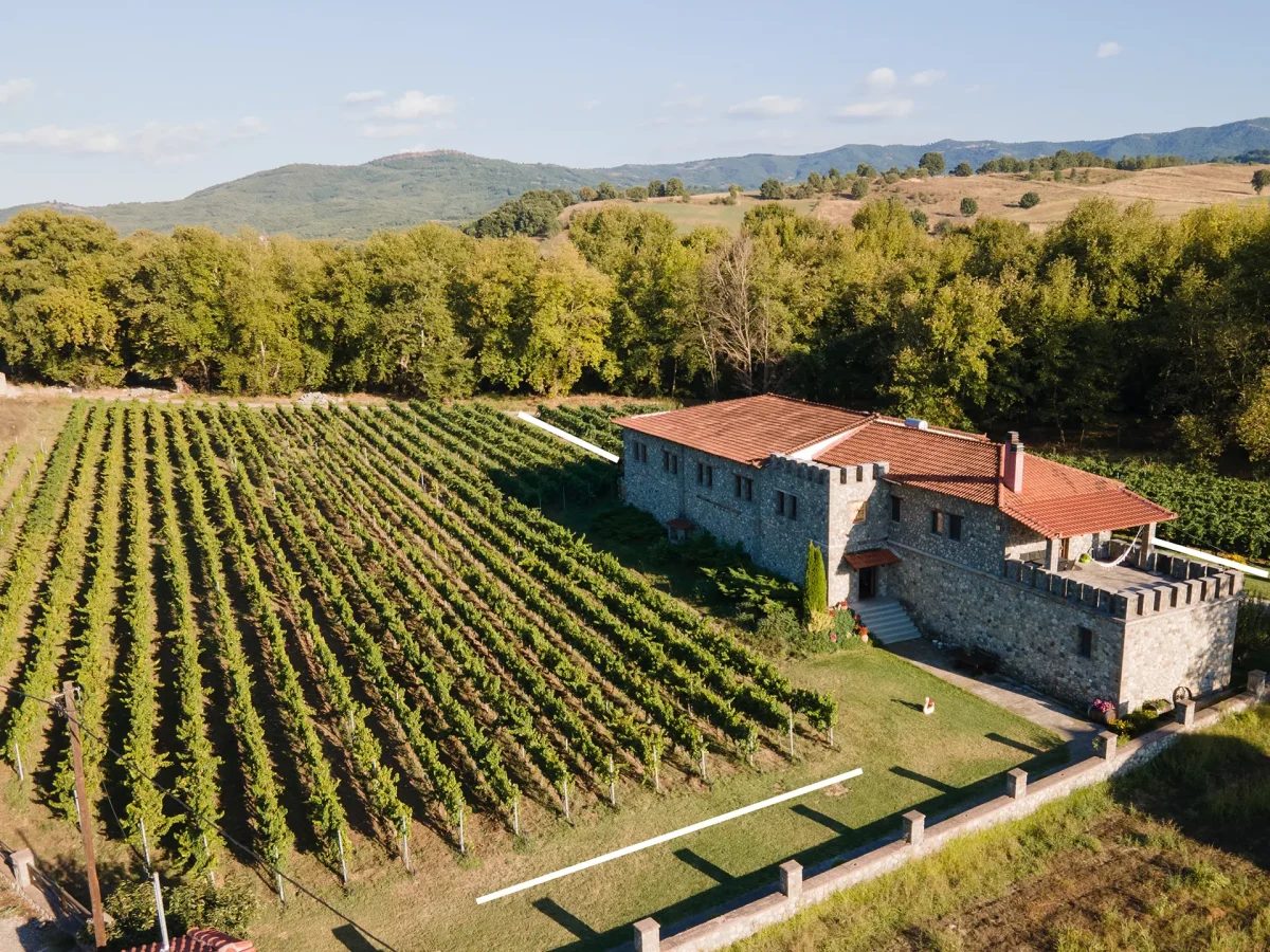 Leventis_Photography