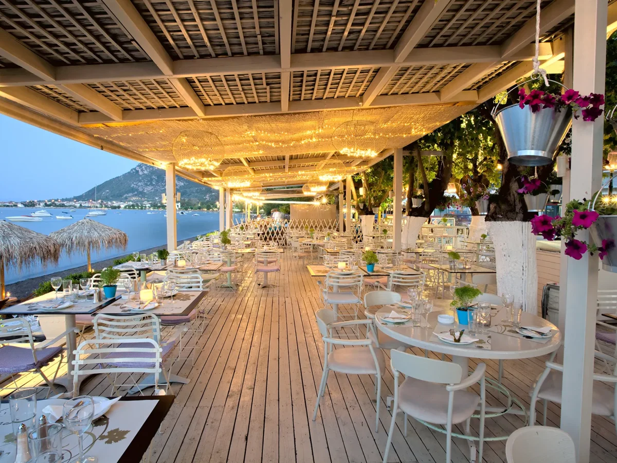 Camino Restaurant