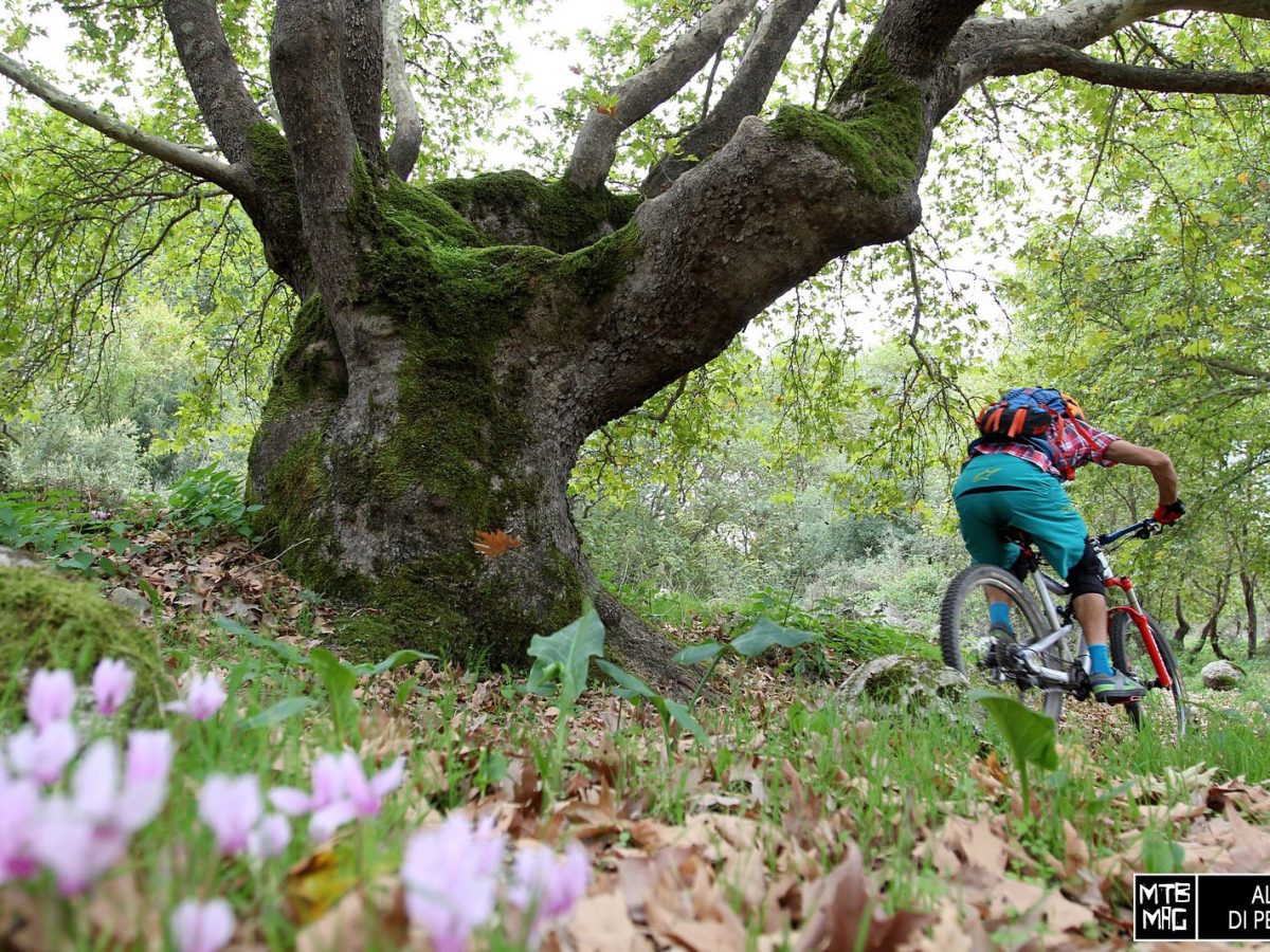 guided-mountain-bike-tour-of-meteora