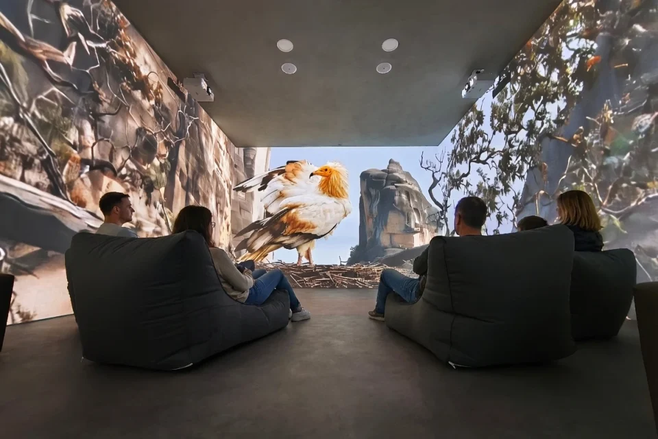 360° immersive projection experience