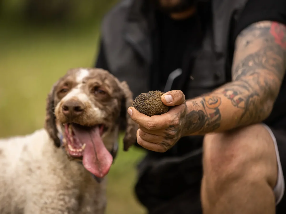 Meteora Shared Truffle Hunting